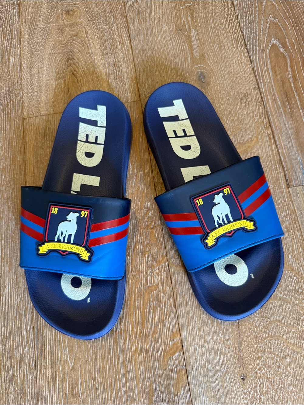 Men’s Ted Lasso AFC Richmond Blue Slide Sandals with Crest